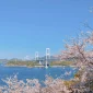 6 Pemandangan Spektakuler Onomichi, Prefektur Hiroshima yang Sungguh Menarik