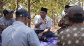 Bupati Pasuruan Terpilih Rusdi Sutedjo resmikan Cesa Little Garden, harapkan pengembangan ekonomi dan sektor pariwisata di Kabupaten Pasuruan.

