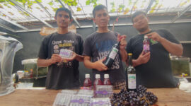 Probolinggo bangkitkan kembali produksi anggur dengan inovasi produk olahan seperti jus, dodol, dan brem anggur untuk daya saing pasar lokal.

