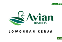 Posisi Staff Operator Gudang di PT Avia Avian Tbk adalah kesempatan yang sangat baik untuk memulai atau melanjutkan karir di industri logistik dan distribusi