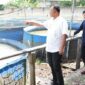 Pemerintah Kabupaten Kediri soroti potensi ekonomi besar ikan lele, dengan produksi mencapai ton per hari dan pemasaran hingga luar daerah.

