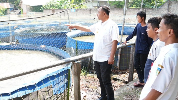 Pemerintah Kabupaten Kediri soroti potensi ekonomi besar ikan lele, dengan produksi mencapai ton per hari dan pemasaran hingga luar daerah.

