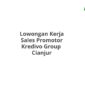 Lowongan Kerja Sales Promotor Kredivo Group  Cianjur