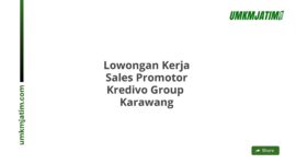 Lowongan Kerja Sales Promotor Kredivo Group  Karawang