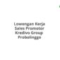 Lowongan Kerja Sales Promotor Kredivo Group  Probolinggo