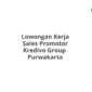 Lowongan Kerja Sales Promotor Kredivo Group  Purwakarta
