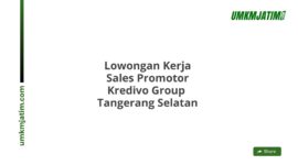 Lowongan Kerja Sales Promotor Kredivo Group  Tangerang Selatan