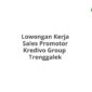 Lowongan Kerja Sales Promotor Kredivo Group  Trenggalek