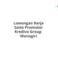 Lowongan Kerja Sales Promotor Kredivo Group  Wonogiri