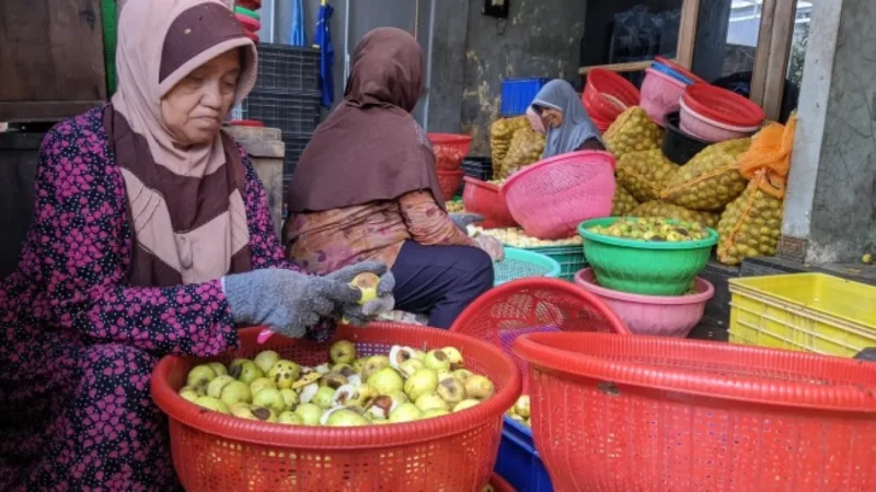 Meski produksi apel di Kota Batu menurun, UMKM keripik buah apel justru berkembang pesat, memenuhi permintaan pasar di berbagai daerah