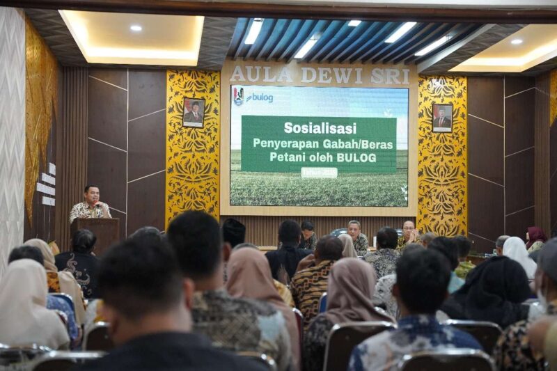 Pemkab Tuban Kolaborasi dengan Bulog Serap Gabah Petani Lokal untuk Tingkatkan Kesejahteraan