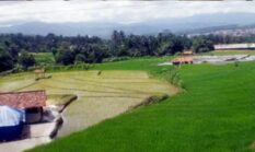 berita-pilihan-foto