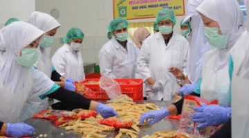 Jenis Izin Edar untuk Produk UMKM: Legalitas Produk Konsumsi dan Pemakaian Langsung