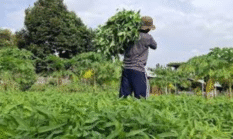berita-pilihan-foto