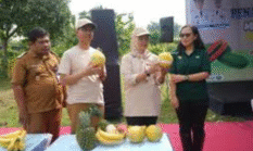 berita-pilihan-foto
