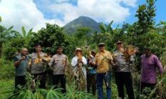 berita-pilihan-foto