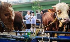 berita-pilihan-foto