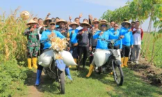 berita-pilihan-foto