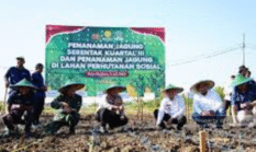berita-pilihan-foto