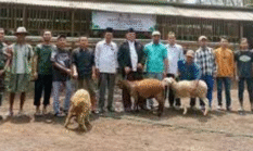 berita-pilihan-foto