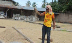 berita-pilihan-foto