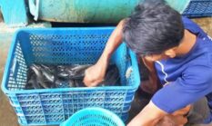 berita-pilihan-foto