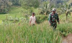 berita-pilihan-foto