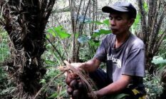 berita-pilihan-foto