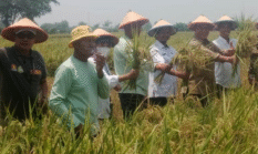 berita-pilihan-foto