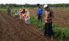 berita-pilihan-foto