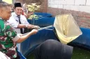 Babinsa Gresik kunjungi usaha budidaya lele milik warga Kebungson. Kisah Roro Fitria jadi contoh kemandirian ekonomi masyarakat.
