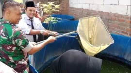 Babinsa Gresik kunjungi usaha budidaya lele milik warga Kebungson. Kisah Roro Fitria jadi contoh kemandirian ekonomi masyarakat.