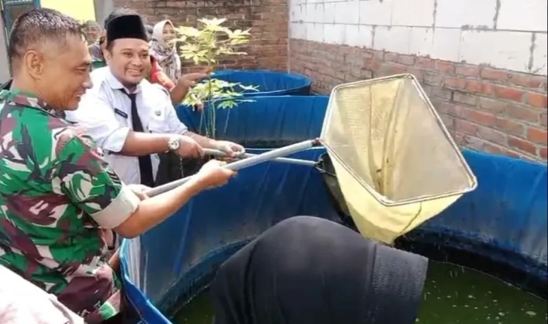 Babinsa Gresik kunjungi usaha budidaya lele milik warga Kebungson. Kisah Roro Fitria jadi contoh kemandirian ekonomi masyarakat.