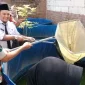 Babinsa Gresik kunjungi usaha budidaya lele milik warga Kebungson. Kisah Roro Fitria jadi contoh kemandirian ekonomi masyarakat.