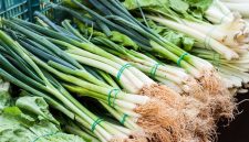 Stok menipis, harga bawang prei di Ponorogo melonjak hingga 50 persen. Petani ungkap penyebab kenaikan harga sayuran di tingkat petani.