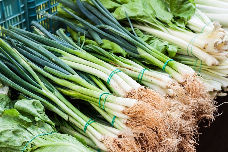 Stok menipis, harga bawang prei di Ponorogo melonjak hingga 50 persen. Petani ungkap penyebab kenaikan harga sayuran di tingkat petani.