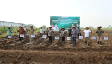 Pemkab Jombang targetkan bongkar ratoon tebu 3.000 hektar untuk tingkatkan produktivitas dan dukung swasembada gula.