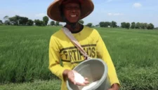 Pemkab Jombang gelontorkan Rp1,2 miliar untuk pupuk organik cair bagi petani padi guna tingkatkan produktivitas pertanian.