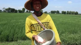 Pemkab Jombang gelontorkan Rp1,2 miliar untuk pupuk organik cair bagi petani padi guna tingkatkan produktivitas pertanian.