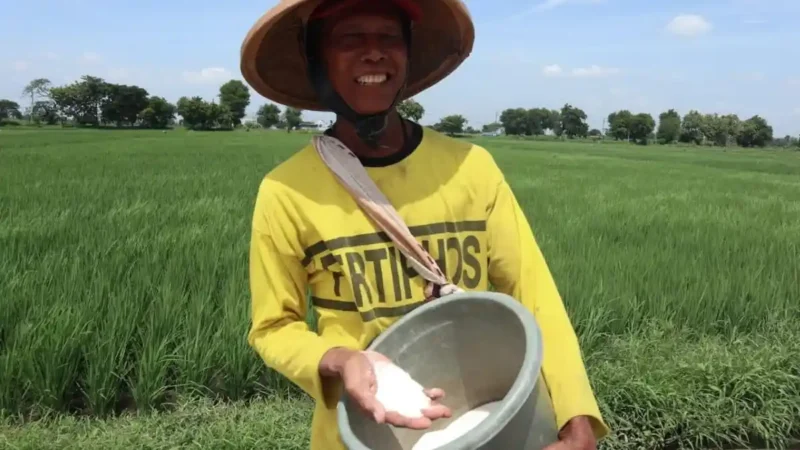 Pemkab Jombang gelontorkan Rp1,2 miliar untuk pupuk organik cair bagi petani padi guna tingkatkan produktivitas pertanian.