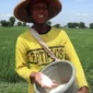 Pemkab Jombang gelontorkan Rp1,2 miliar untuk pupuk organik cair bagi petani padi guna tingkatkan produktivitas pertanian.