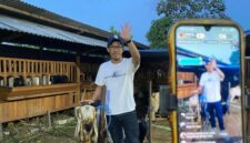 Peternak Malang sukses jual kambing lewat live streaming. Penjualan naik dua kali lipat jelang Idul Adha 2026.