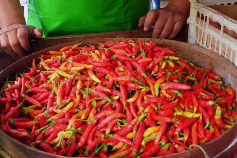 Stok Menipis! Harga Cabai Merah Besar di Sumenep Melonjak Tajam