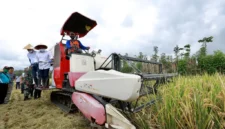 Produksi Beras Banyuwangi Melonjak! Surplus 174 Ribu Ton Siap Topang Cadangan Pangan Nasional